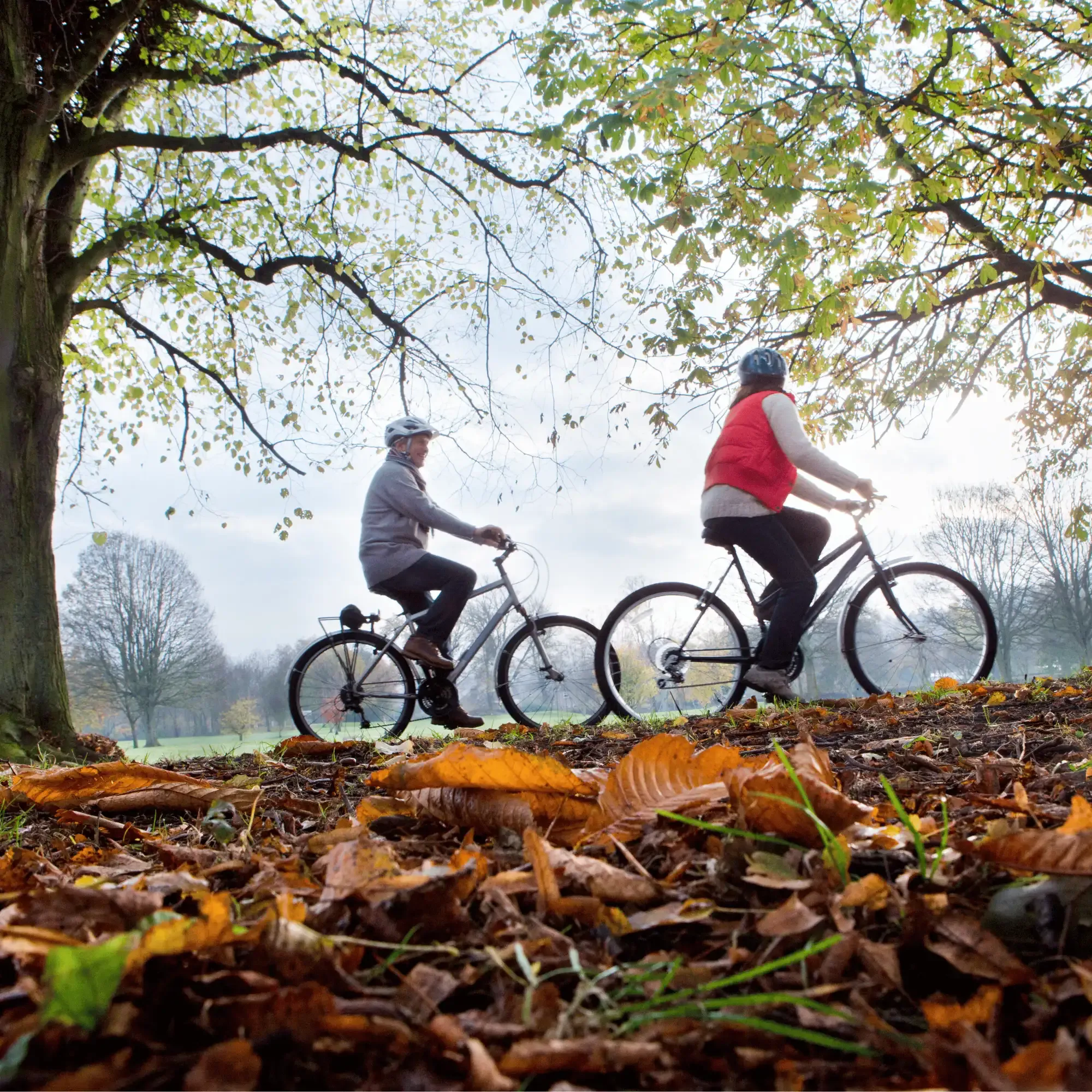 Radfahren im Westmünsterland